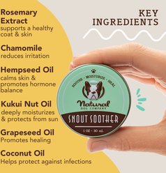 Natural Dog Company Snout Soother Dog Healing Balm, 1-oz tin slide 2 of 9