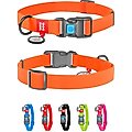 WAUDOG QR Passport Plastic Fastex Waterproof Dog Collar, Orange, Medium
