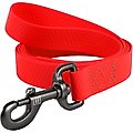 WAUDOG Waterproof Dog Leash, Red, Large: 10-ft long, 1-in wide