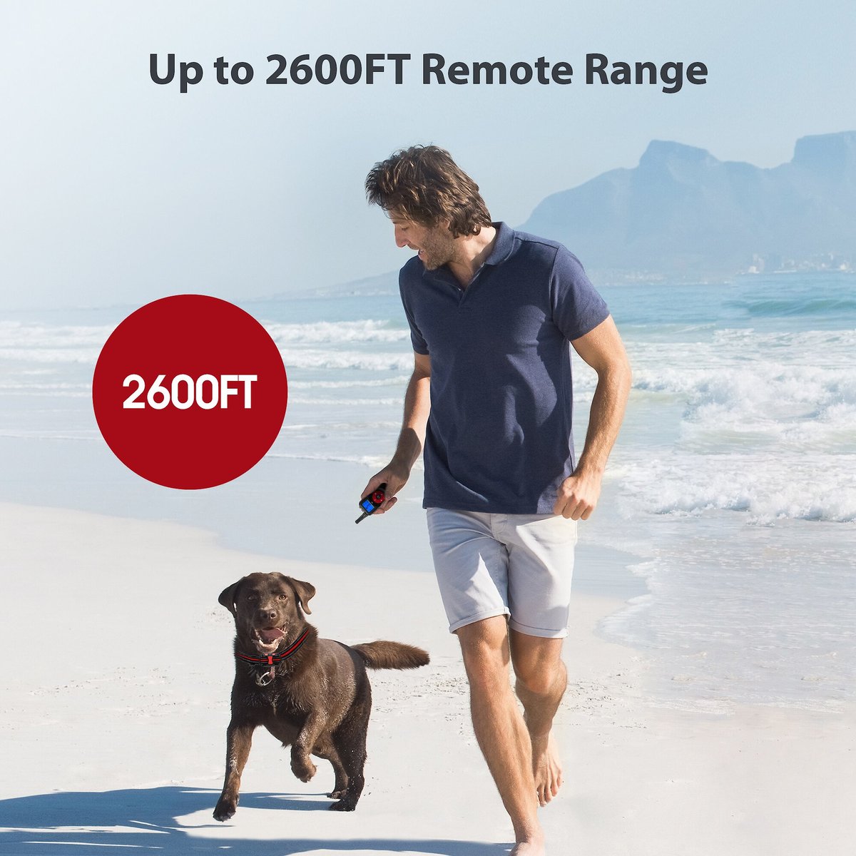 PETDIARY Remote Training Shock Dog Collar, Small, Black & Orange, 2