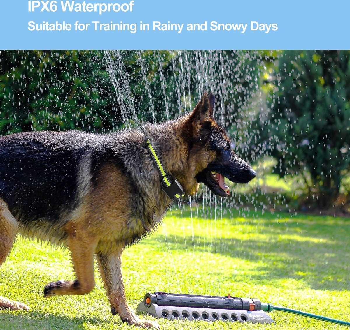 PETDIARY Vibration Dog Bark Collar, Small, Black