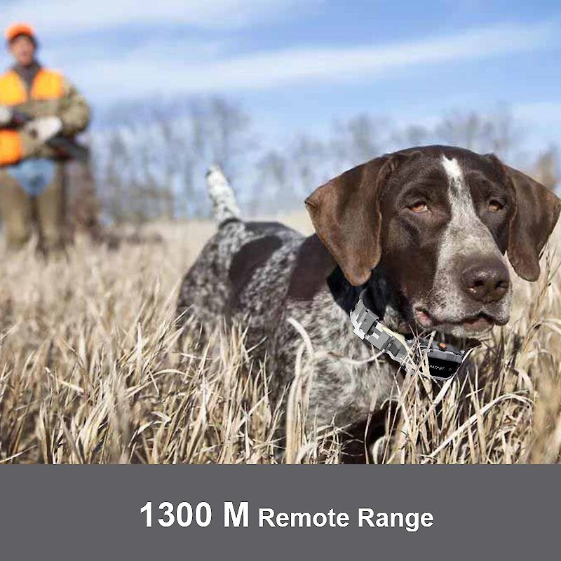 PATPET P920 Outdoor Dedicated 4000ft Remote Dog Training Collar, Meisai