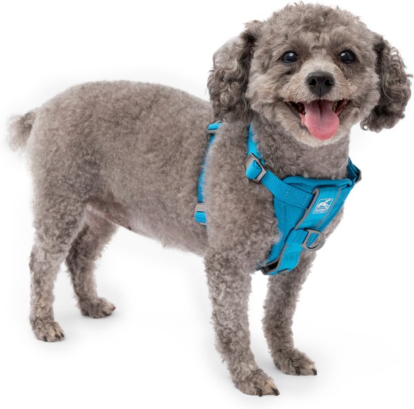 Kurgo Tru-Fit Smart Quick Release Dog Walking Harness & Seatbelt Tether, Blue, X-Small slide 1 of 7