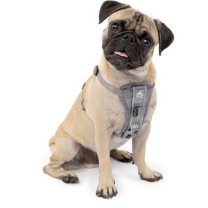 Kurgo Tru-Fit Smart Quick Release Dog Walking Harness & Seatbelt Tether, Charcoal, X-Small