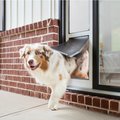 PetSafe Extreme Weather Sliding Glass Cat & Dog Door, White, Large