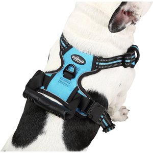 EliteField Padded Reflective No Pull Dog Harness, Blue, Large: 21 to 36-in chest