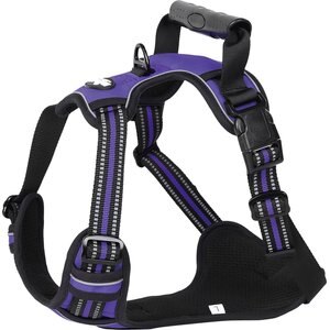 EliteField Padded Reflective No Pull Dog Harness, Purple, Small: 15 to 28-in chest
