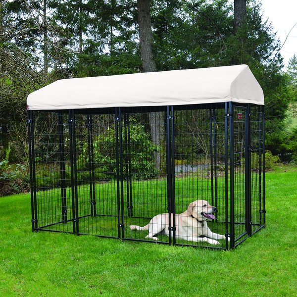 Avery 5 outlet dog galvanized kennel