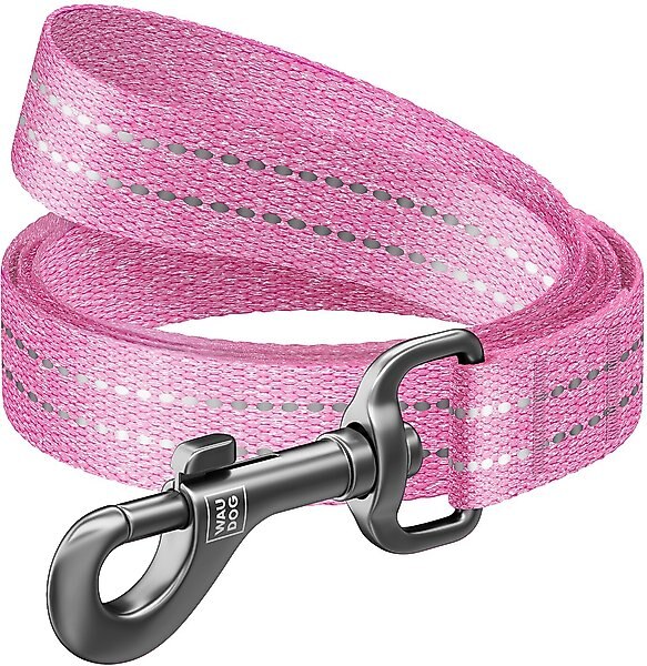 WAUDOG Reflective Cotton Dog Leash, Pink, Large/XX-Large slide 1 of 7