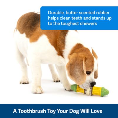 Show full view: PetSafe Busy Buddy Cravin’ Corncob Chew Dog Toy, Small/Medium slide 3 of 10