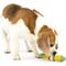 Show in main carousel: PetSafe Busy Buddy Cravin’ Corncob Chew Dog Toy, Small/Medium slide 7 of 10