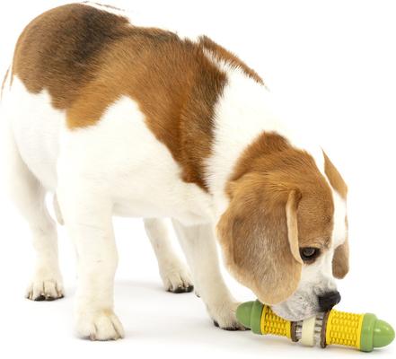 Show full view: PetSafe Busy Buddy Cravin’ Corncob Chew Dog Toy, Small/Medium slide 7 of 10