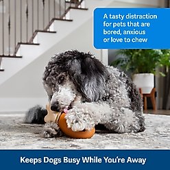 PetSafe Busy Buddy Chompin' Chicken Chew Dog Toy, Medium/Large  slide 2 of 8