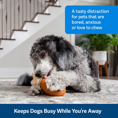 Show full view: PetSafe Busy Buddy Chompin' Chicken Chew Dog Toy, Medium/Large  slide 2 of 9