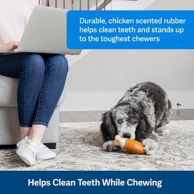 Show full view: PetSafe Busy Buddy Chompin' Chicken Chew Dog Toy, Medium/Large  slide 3 of 9