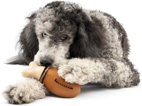 Show full view: PetSafe Busy Buddy Chompin' Chicken Chew Dog Toy, Medium/Large  slide 7 of 9