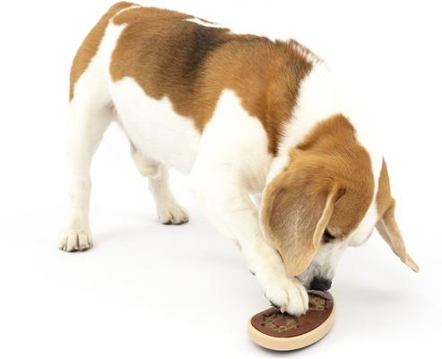 Show full view: PetSafe Busy Buddy Slab o’ Sirloin Chew Dog Toy, Small/Medium  slide 7 of 10