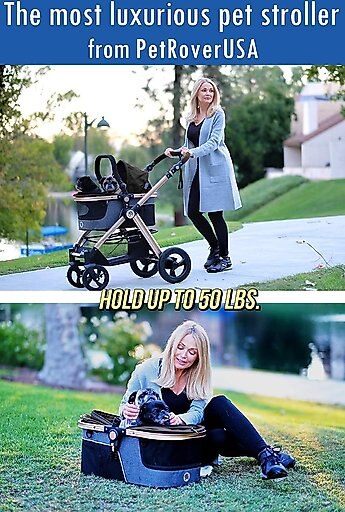 HPZ Rover Prime G2 Luxury 3-in-1 Dog & Cat Stroller, Black