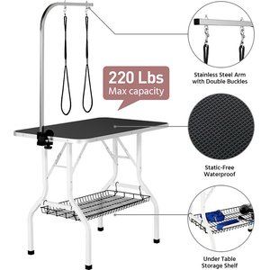 10 Best Dog Grooming Tables 2025: According to Reviews | Chewy