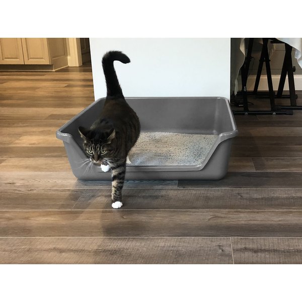 SHIRLEY K'S Senior Cat Litter Box, XLarge, Gray