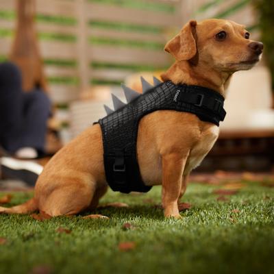 Show full view: Frisco Halloween Dino Vest Harness, S slide 5 of 7