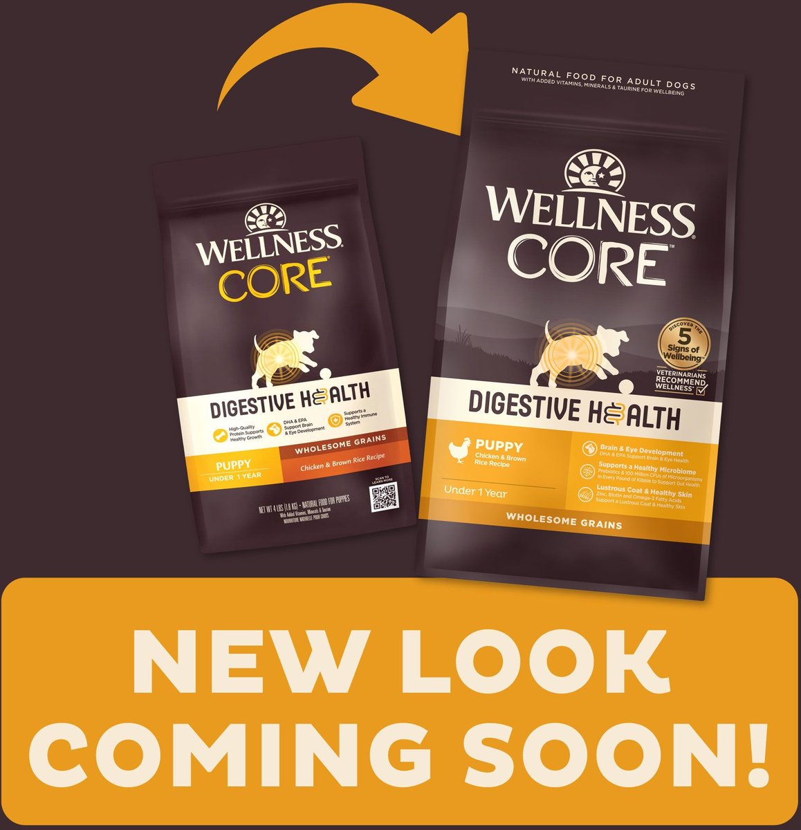 WELLNESS CORE Digestive Health Puppy Chicken & Brown Rice Dry Dog Food ...