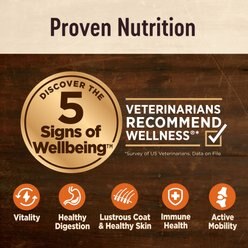 Wellness CORE Digestive Health Plant Based Recipe with Eggs Dry Dog Food, 4-lb bag slide 2 of 9