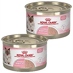 Royal Canin Feline Health Nutrition Mother & Babycat Ultra Soft Mousse in Sauce Canned Cat Food, 5.1-oz, case of 48