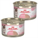 Royal Canin Mother & Babycat Ultra-Soft Mousse in Sauce Wet Cat Food for New Kittens & Nursing or Pregnant Mother Cats, 5.1-oz, case of 24, bundle of 2