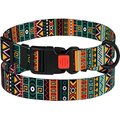 CollarDirect Tribal Pattern Aztec Design Nylon Dog Collar, Multicolor 1, Large