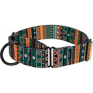 CollarDirect Tribal Pattern Aztec Design Nylon Martingale Dog Collar, Multicolor 1, Large