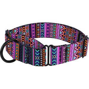 CollarDirect Tribal Pattern Aztec Design Nylon Martingale Dog Collar, Multicolor 2, Large