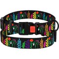 CollarDirect Floral Design Pattern Nylon Dog Collar, Black, Medium