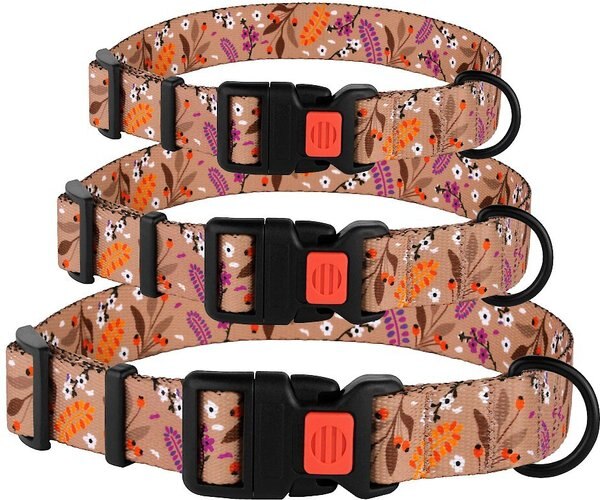 CollarDirect Floral Design Pattern Nylon Dog Collar