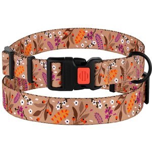 CollarDirect Floral Design Pattern Nylon Dog Collar, Beige, Medium
