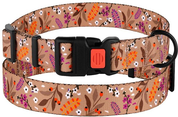 CollarDirect Floral Design Pattern Nylon Dog Collar, Beige, Large slide 1 of 5