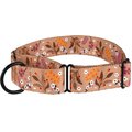 CollarDirect Floral Design Pattern Nylon Martingale Dog Collar, Beige, Large
