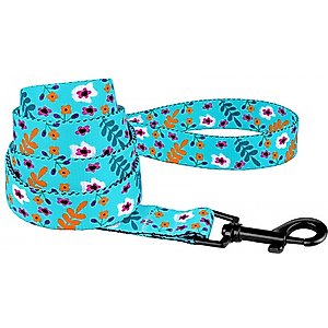 CollarDirect Floral Pattern Nylon Dog Leash, Mint Green, Small
