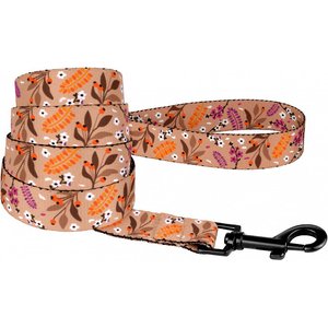 CollarDirect Floral Pattern Nylon Dog Leash, Beige, Medium
