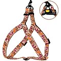 CollarDirect Floral Pattern Adjustable Nylon Step-in Dog Harness, Beige, Large