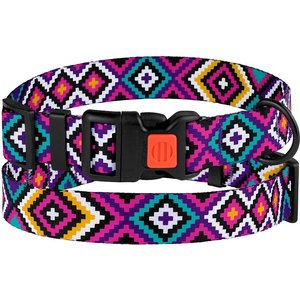 CollarDirect Tribal Pattern Ethnic Design Nylon Dog Collar, Multicolor 2, Medium