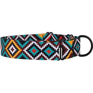 CollarDirect Tribal Pattern Ethnic Design Nylon Martingale Dog Collar, Multicolor 1, Large