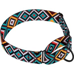 CollarDirect Tribal Pattern Ethnic Design Nylon Martingale Dog Collar, Multicolor 1, Large