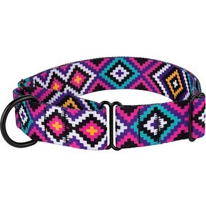 CollarDirect Tribal Pattern Ethnic Design Nylon Martingale Dog Collar, Multicolor 2, Large