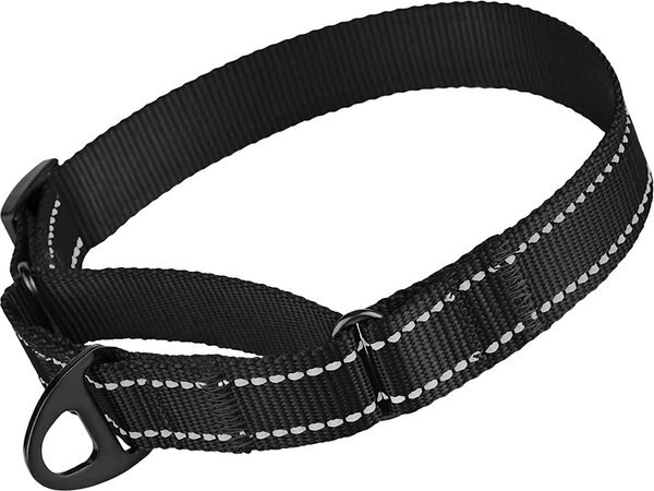 CollarDirect Reflective Martingale Nylon Dog Collar, Black, Medium slide 1 of 6