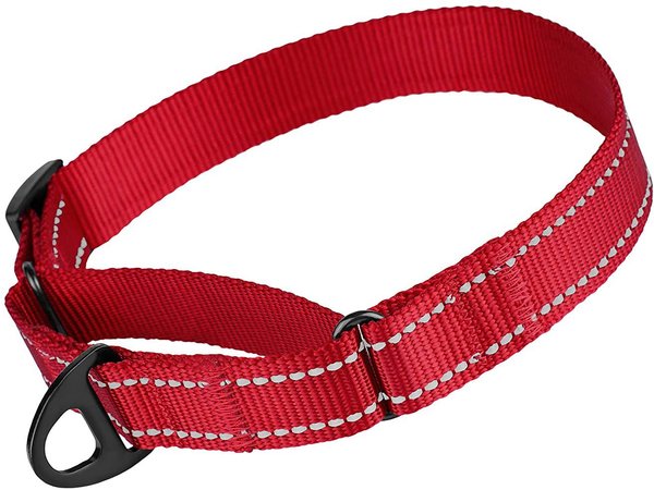 CollarDirect Reflective Martingale Nylon Dog Collar, Red, Small slide 1 of 6