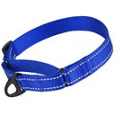 CollarDirect Reflective Martingale Nylon Dog Collar, Blue, Small