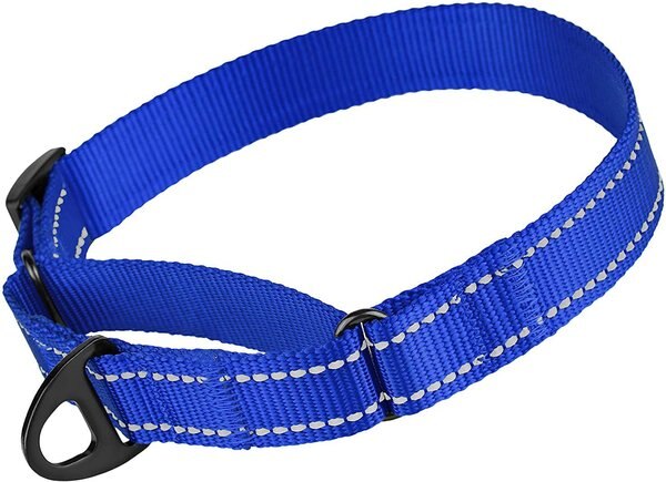 CollarDirect Reflective Martingale Nylon Dog Collar, Blue, Medium slide 1 of 6