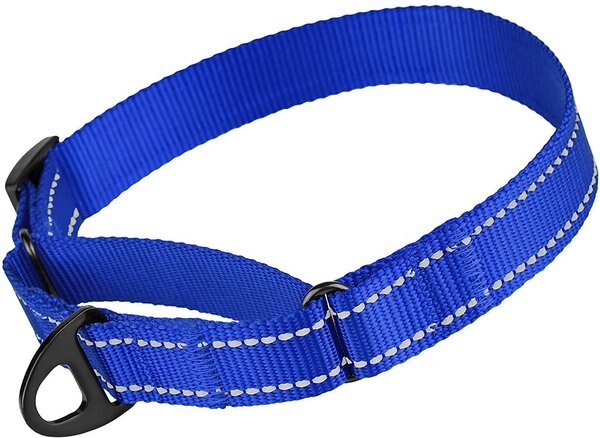 CollarDirect Reflective Martingale Nylon Dog Collar, Blue, Large slide 1 of 6