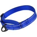 CollarDirect Reflective Martingale Nylon Dog Collar, Blue, Large